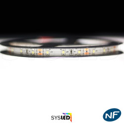 Ruban LED Professionnel 3528 / 60 LED mètre vert electrique pour intérieur (IP65) 1 ,2,5 ,5,10 mètres aux choix