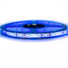 Ruban LED Professionnel 3528 / 60 LED mètre bleu electrique pour intérieur (IP65) 1 ,2,5 ,5,10 mètres aux choix