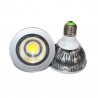Ampoule LED Professionnelle PAR30 E27 12W