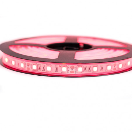 Ruban LED Professionel 5050 / 60 LED mètre rouge étanche