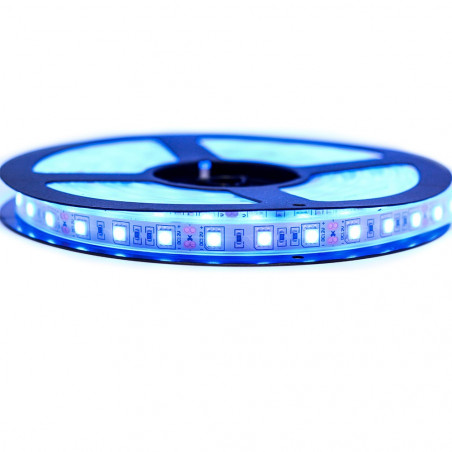 Ruban LED Professionel 5050 / 60 LED mètre bleu electrique étanche 