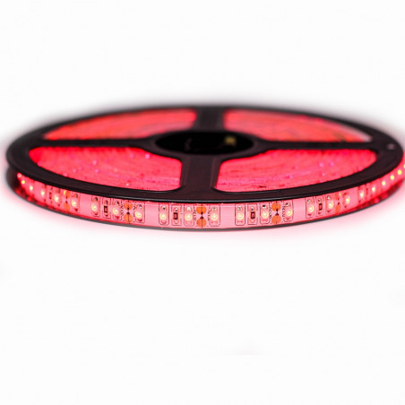 Bande LED 120 LED 3528 de couleur rouge vif 5 mètres en 12V