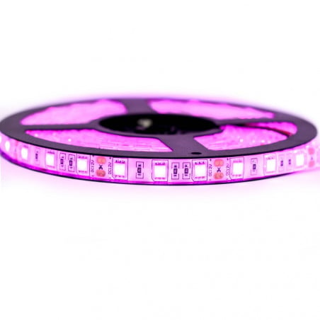 Ruban LED Professionel 5050 / 60 LED mètre rose étanche