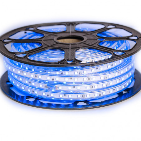 Ruban LED 50 mètres bleu