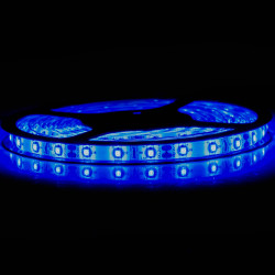 Ruban LED Professionnel 3528 / 60 LED mètre bleu electrique pour intérieur (IP65) 1 ,2,5 ,5,10 mètres aux choix
