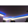 Ruban LED Professionel 3528 / 60 LED mètre bleu electrique étanche 1 ,2,5 ,5,10 mètres aux choix