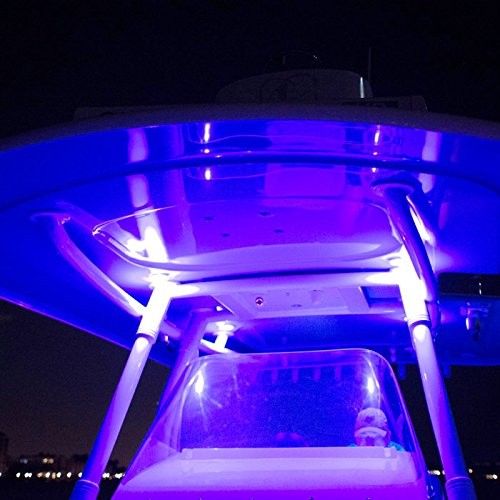 Lampe Ultraviolet Bande LED UV/bleue 16,4 Pieds (5m) 12V/24V - Lumière Noire Pour Pêche Nocturne, Bateau, Ambiance Bande Led étanche Ip65 Pêche Nocturne